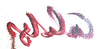 logo_200x100px